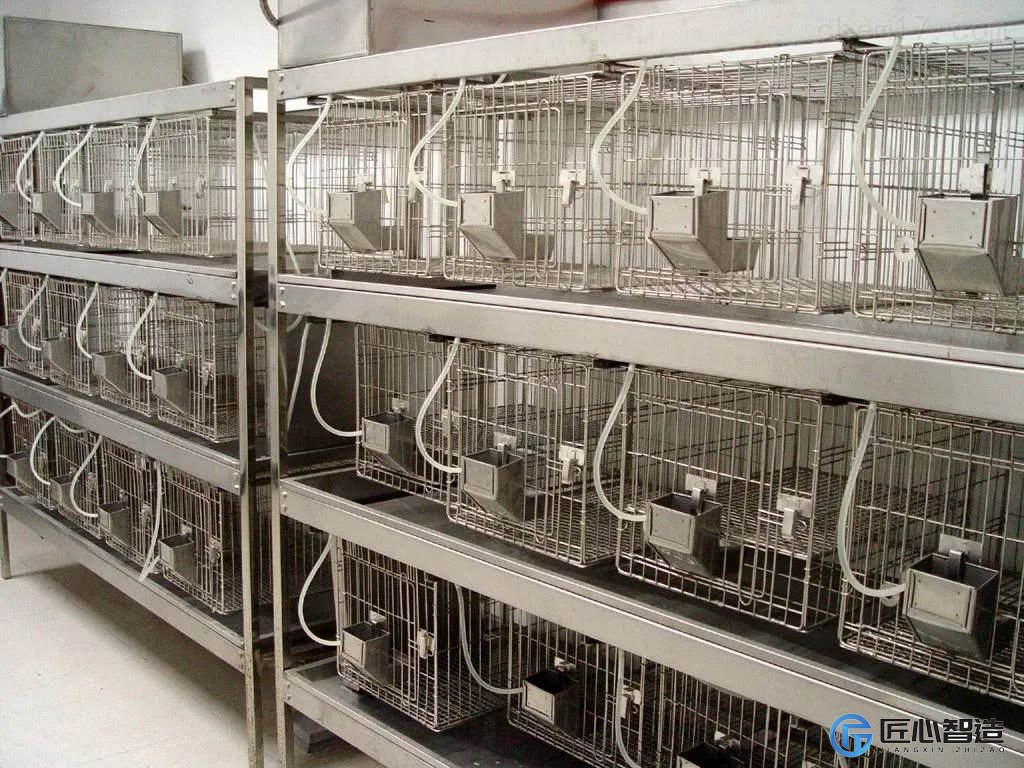 动物实验室建设