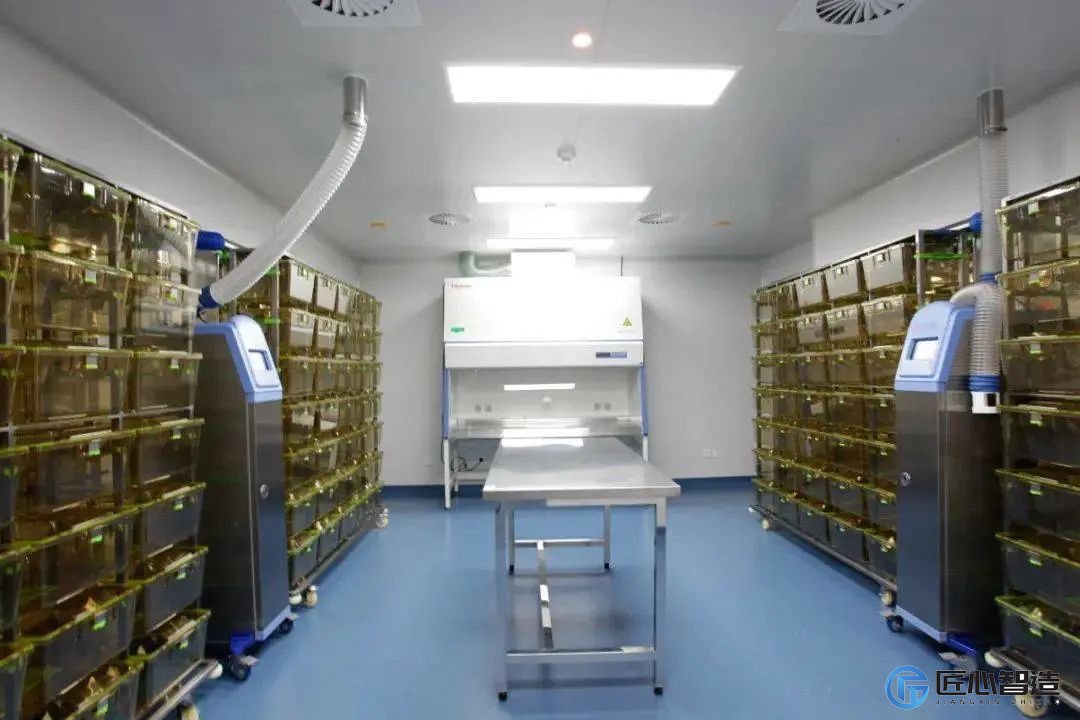 动物实验室建设