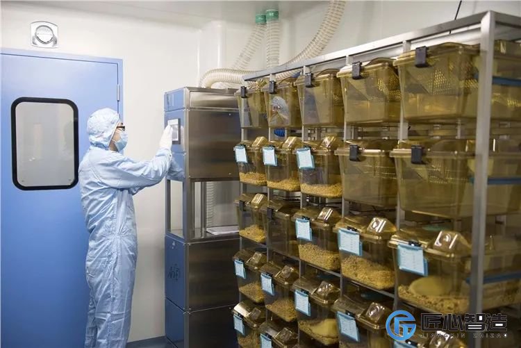 动物实验室建设